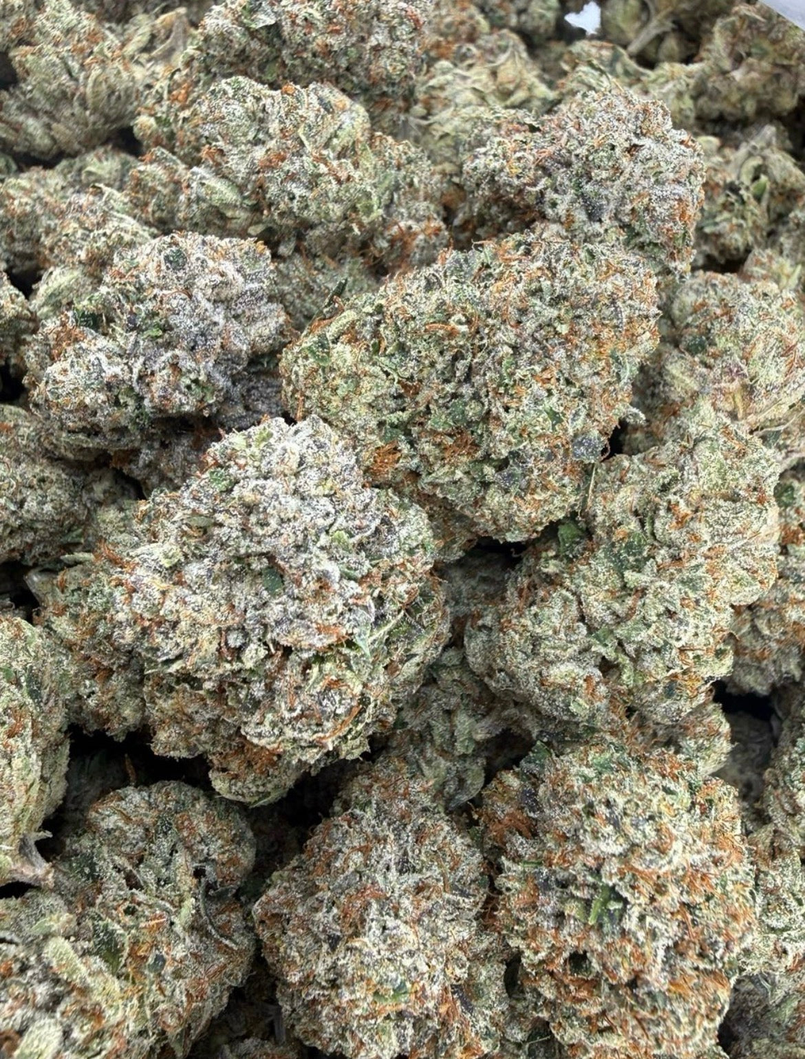 Mary Jane