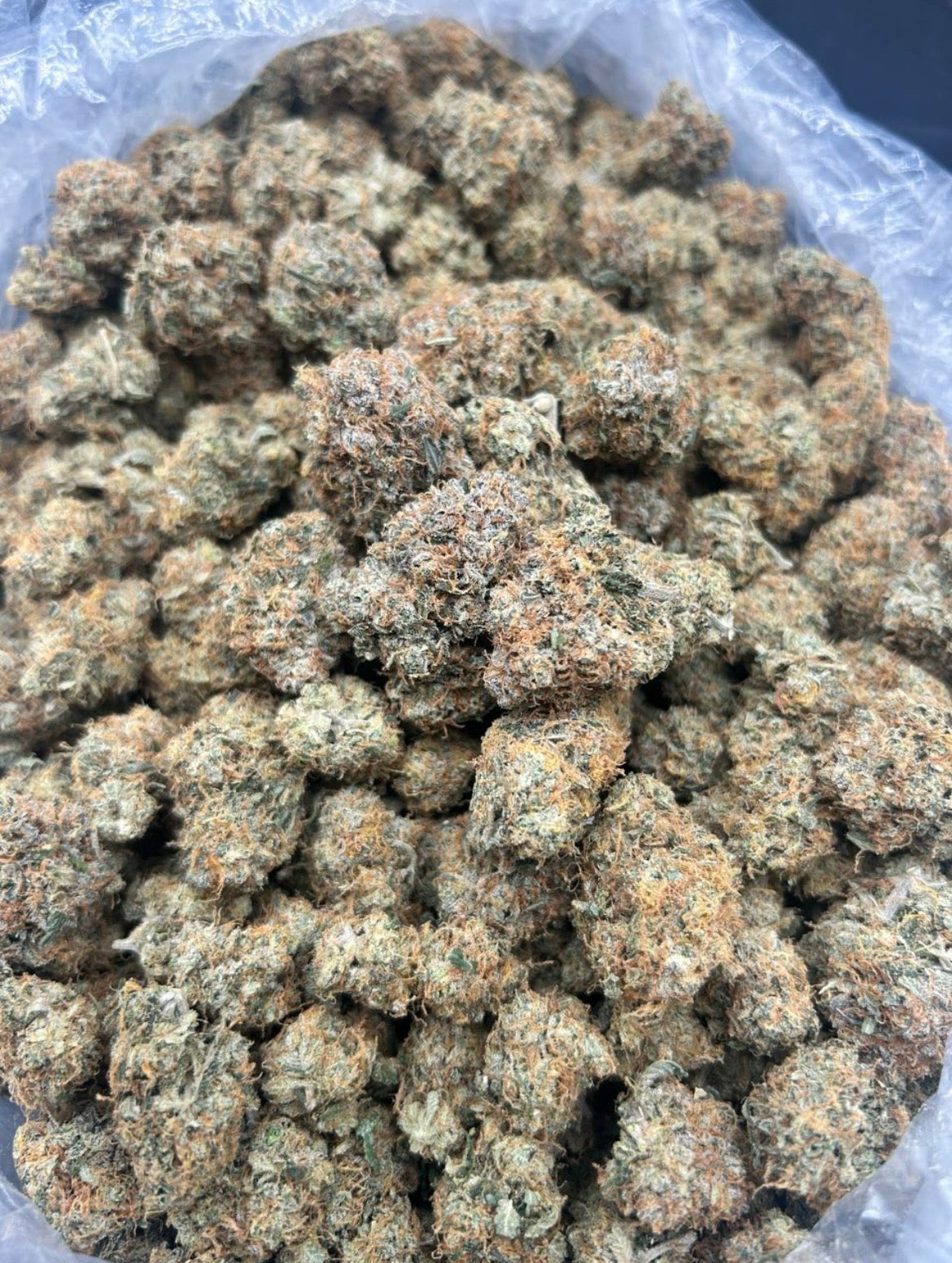 Louis Bubba