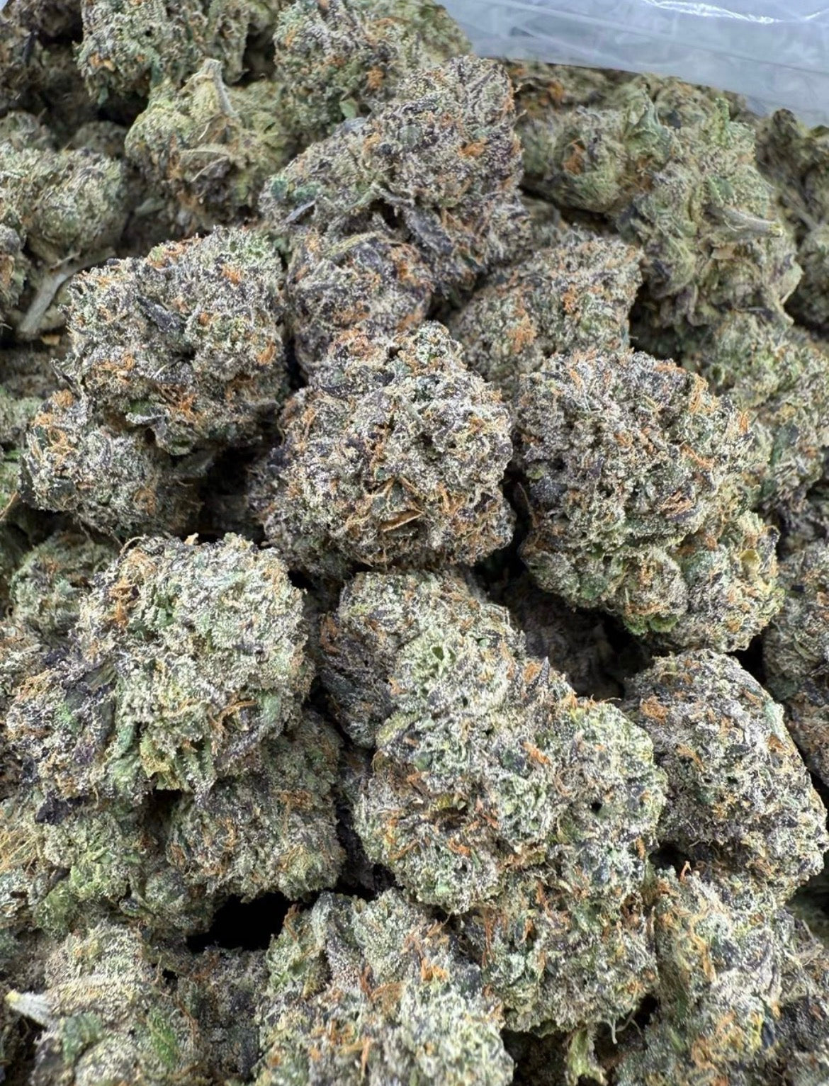 Purple Bubba