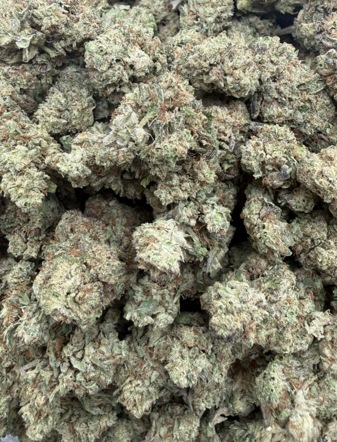Platinum Bubba