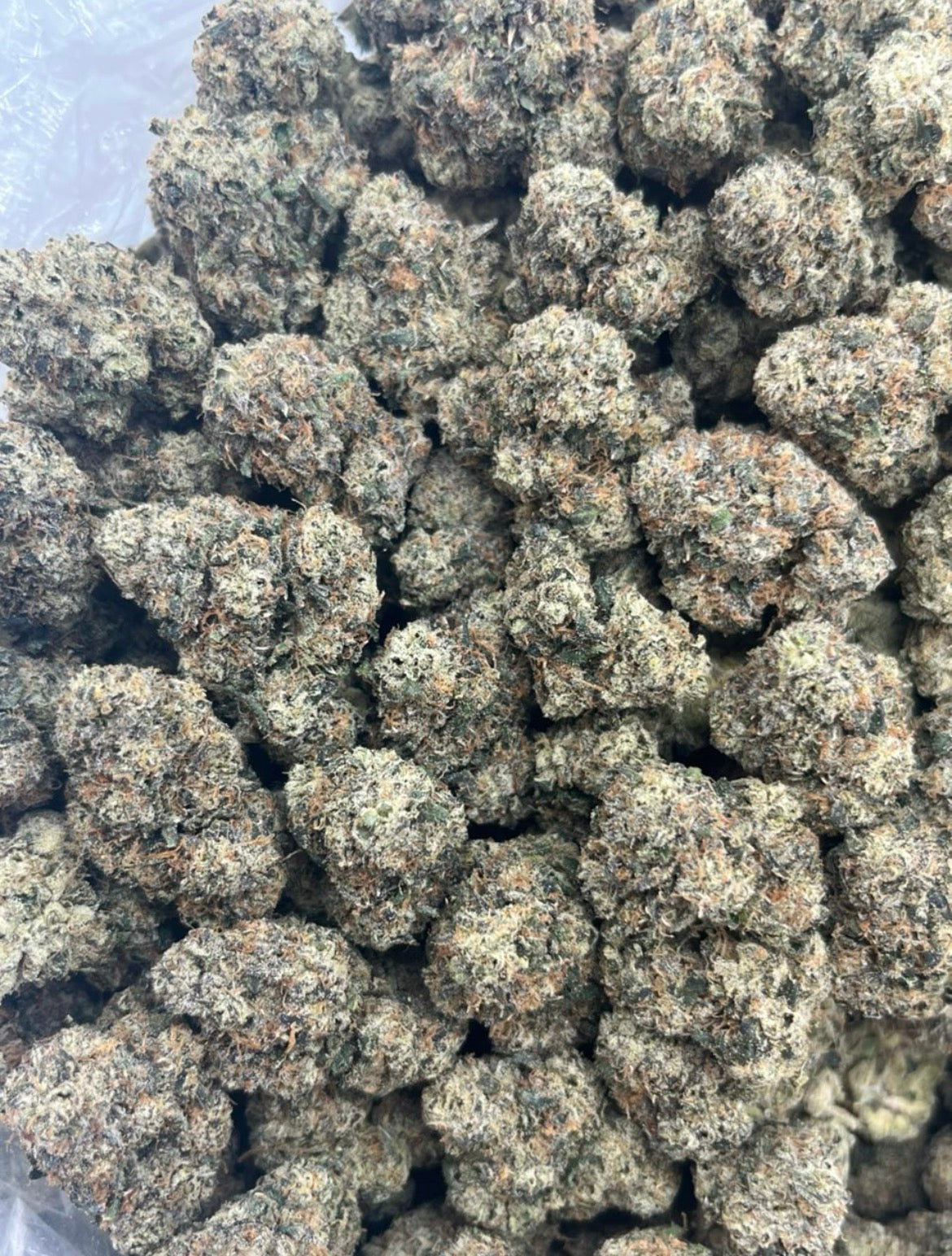 Hustle Bubba