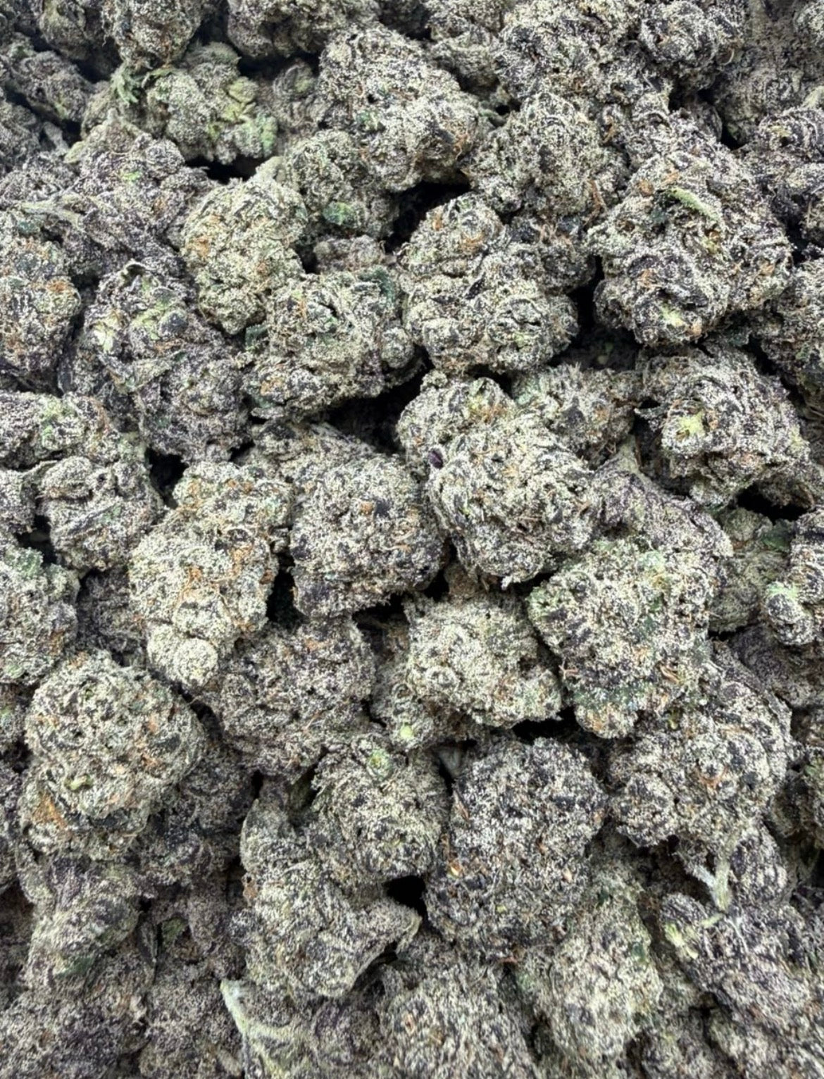 Gelato Candy