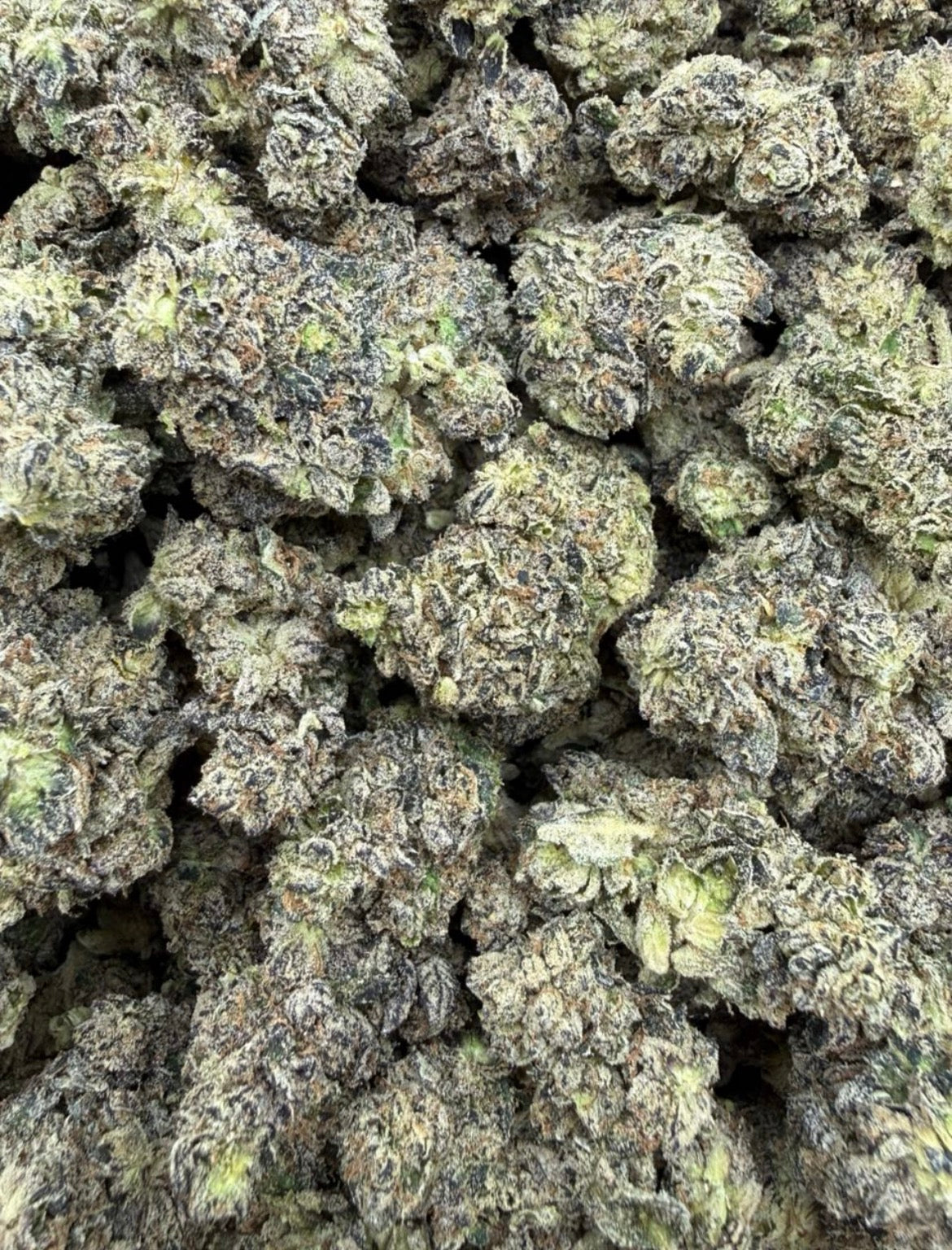 High Sherberts