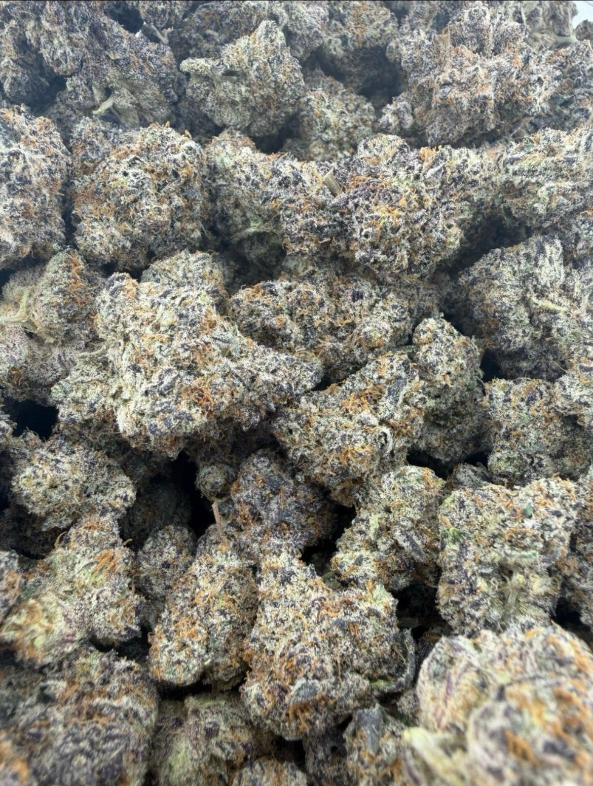 Strawberry x Gelato