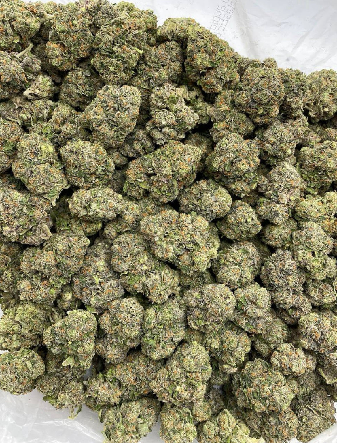 Dank Runtz