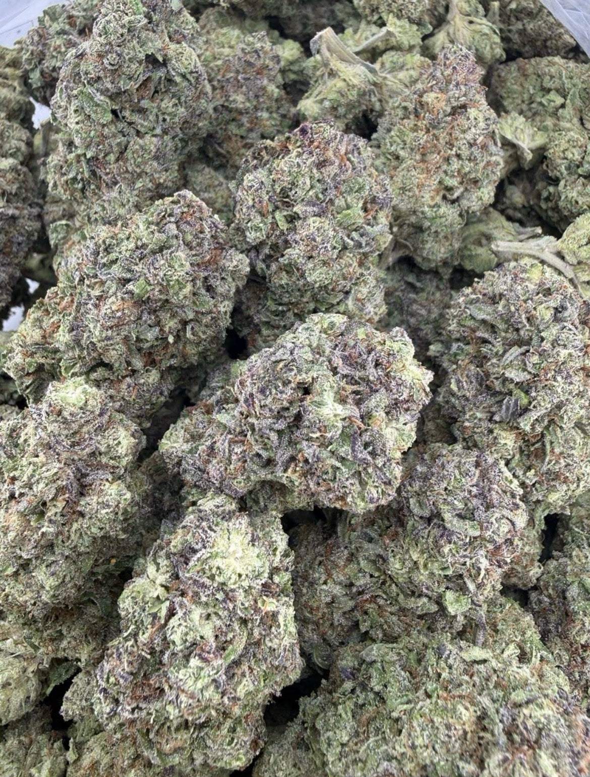 Gelato Faygo
