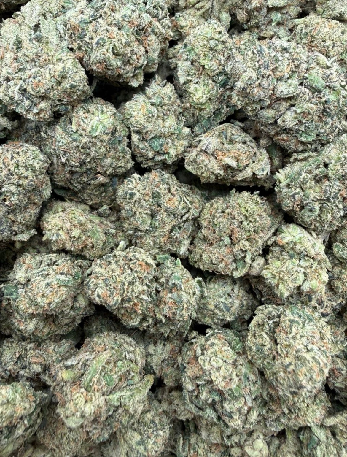 Gelato Jam